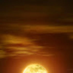 Meet your Posher, Neslihan